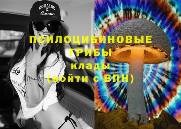 MDMA Premium VHQ Аркадак